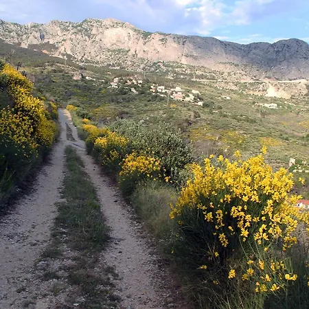 Apartman Adria Podgora (Split-Dalmatia)